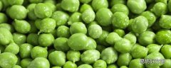 青豆放冰箱长芽能吃吗 青豆放冰箱怎么保存最好