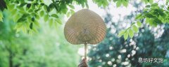 夏至是夏天即将到来吗 夏至养生应该注意些什么