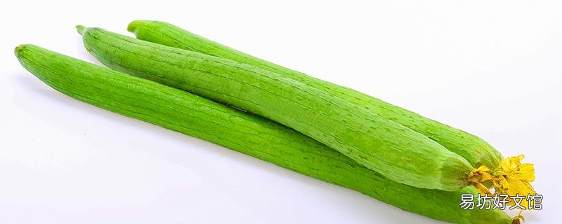 丝瓜是凉性还是热性 什么人不适合吃丝瓜