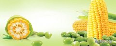 怎么知道玉米熟没熟 玉米没熟吃了会怎样