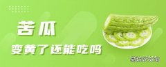 苦瓜变黄了还能吃吗 苦瓜放久了能吃吗