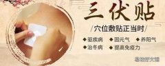 三伏贴适宜人群 三伏贴有什么禁忌吗
