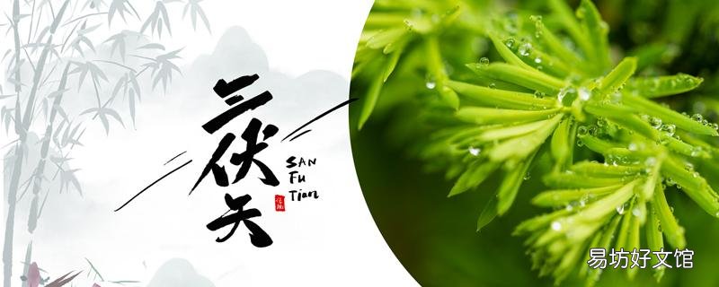 三伏天为什么是调理身体的好时机 三伏天调理身体什么部位最好