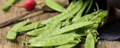 荷兰豆怎么判断熟没熟 荷兰豆不熟有毒吗