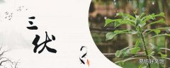 三伏天拔罐好还是刮痧好 经常刮痧拔罐对身体好吗
