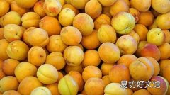 黃桃是熱性還是涼性 黃桃吃了會上火嗎