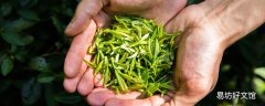 珍珠奶茶茶葉什么茶葉都可以用嗎 自制奶茶對身體有害嗎