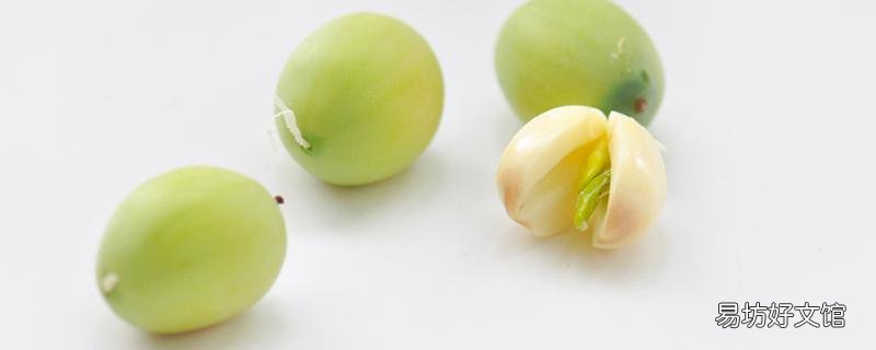 新鲜莲子怎么保存 新鲜莲子怎么吃比较好
