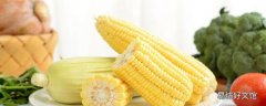 黃玉米煮多久就熟了 黃玉米和白玉米哪個好