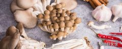 平菇發黃能吃嗎 平菇發苦是什么回事