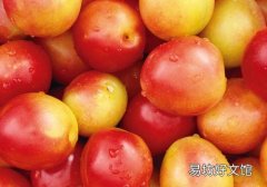 油桃可以煮水吗 你没吃过煮油桃吧！