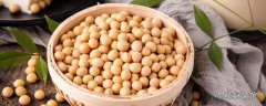 夏天黃豆泡一晚上會(huì)壞嗎 黃豆泡多久會(huì)產(chǎn)生毒素