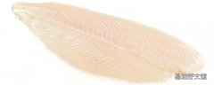 巴沙魚是海魚還是淡水 巴沙魚為什么不能吃
