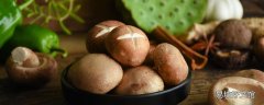 鮮香菇可以直接冷凍保存嗎 干香菇能放冰箱冷凍保存嗎