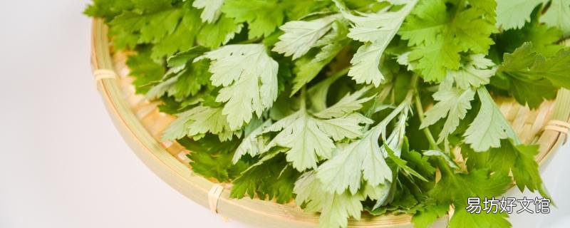 野艾蒿和艾草怎樣分別 新鮮野艾蒿怎么吃