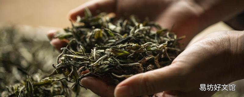 喝什么茶刮油減肥 喝茶一個月能瘦多少斤
