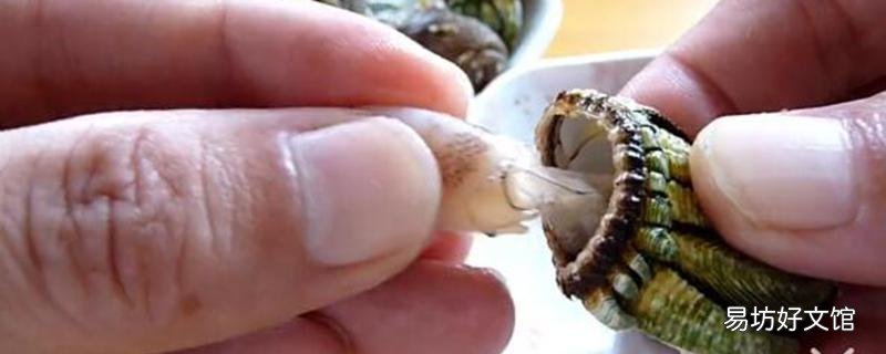 鵝頸藤壺怎么吃圖解 鵝頸藤壺多少錢一斤