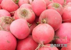 大蘿卜加蜂蜜治痛風(fēng)嗎 大蘿卜加蜂蜜治療痛風(fēng)的食療方