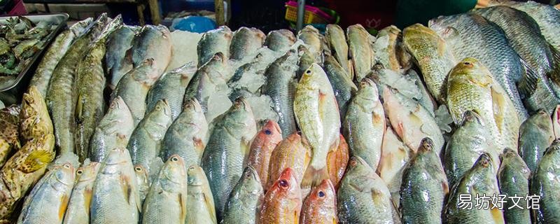 鱸魚(yú)是淡水魚(yú)還是海魚(yú) 河鱸魚(yú)和海鱸魚(yú)的區(qū)別
