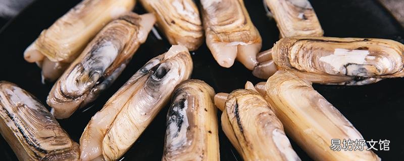 蟶子死了多久不能吃 蟶子死了是什么狀態