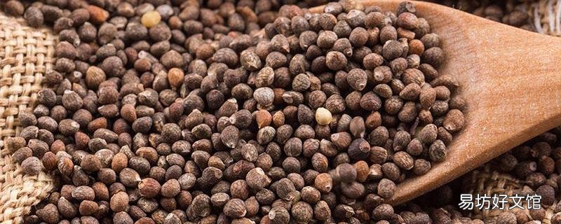 經期能吃奇亞籽嗎 奇亞籽的正確吃法