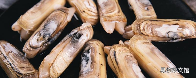 蟶子煮多長時間熟 水煮蟶子蘸料