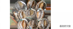鮑魚一頓吃幾個 鮑魚吃多了會怎么樣