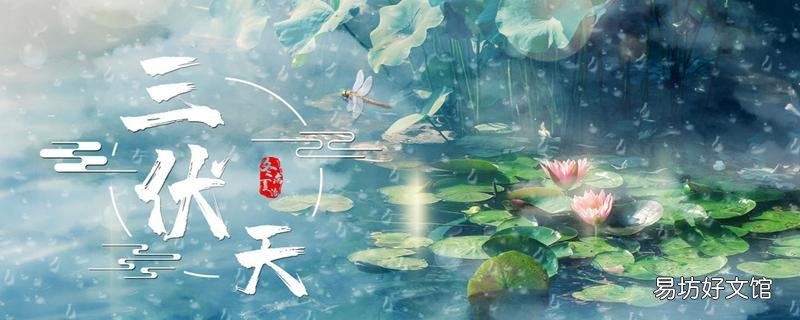 出伏后吃什么好 出伏后還能吃姜嗎