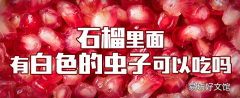 石榴里面有白色的蟲子可以吃嗎 石榴能連籽一起吃嗎