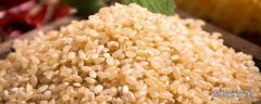 大米和糙米熱量差不多嗎 大米和糙米可以一起煮嗎
