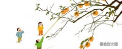 吃完海鲜多久能吃柿子 吃柿子不能吃什么食物