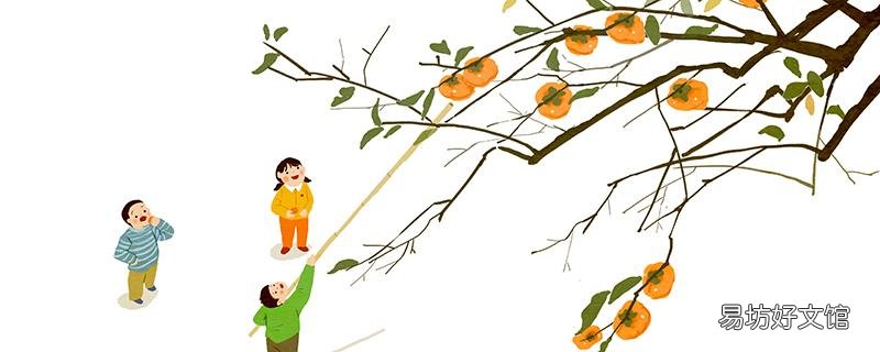 吃完海鮮多久能吃柿子 吃柿子不能吃什么食物
