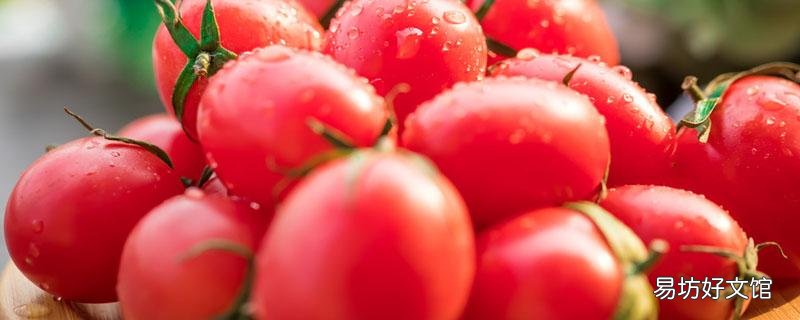 沒熟西紅柿能吃嗎 沒熟的西紅柿放一放會不會熟