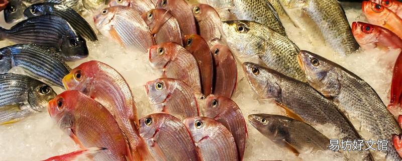 海鮮放冷藏還是冷凍 海鮮可以冷藏幾天