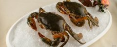 梭子蟹的最佳食用时间是什么时候 梭子蟹怎么挑选肉多的