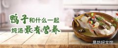 鸭子炖汤和什么一起炖最有营养 鸭肉和什么水果相克