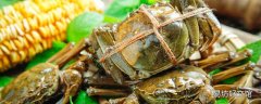 螃蟹没有绑住怎么样蒸才会完整啊 蒸螃蟹绑着绳子怎么清洗