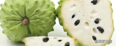 釋迦果好吃嗎 熟的釋迦果是什么樣子