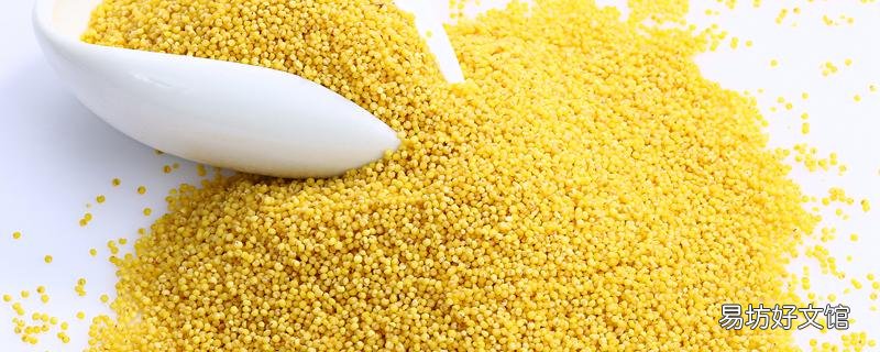 小米紅豆粥不適宜人群 女人常喝小米粥的好處