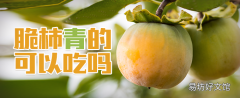 脆柿青的可以吃嗎 脆柿放軟還能吃嗎