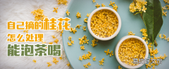 自己摘的桂花怎么處理能泡茶喝 鮮桂花怎么做成干桂花不變色