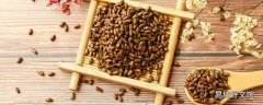 決明子茶喝了會睡不著嗎 決明子茶可以天天喝嗎