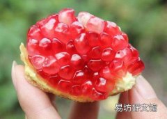 吃石榴胃疼是怎么回事 吃石榴胃疼怎么办