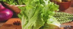 生菜怎么洗才沒有寄生蟲 生菜生吃好還是煮熟了