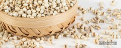薏米一次可以吃多少克 薏米水怎么煮去濕氣效果最好