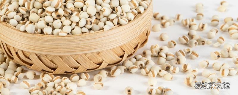薏米一次可以吃多少克 薏米水怎么煮去濕氣效果最好