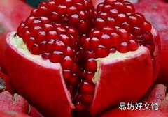 寶寶吃石榴會拉肚子嗎 寶寶吃石榴拉肚子是怎么回事