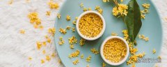 桂花茶發苦正常嗎 桂花茶可以煮著喝嗎