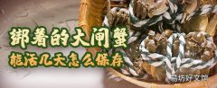 綁著的大閘蟹能活幾天怎么保存 綁著的大閘蟹怎么看死活