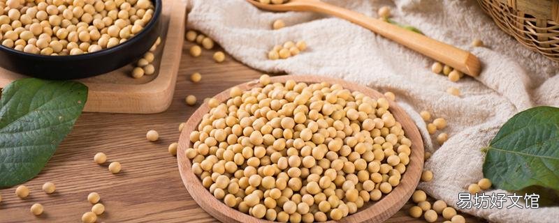 黃豆打豆漿需要煮嗎 泡過的黃豆要煮多久才能打豆漿